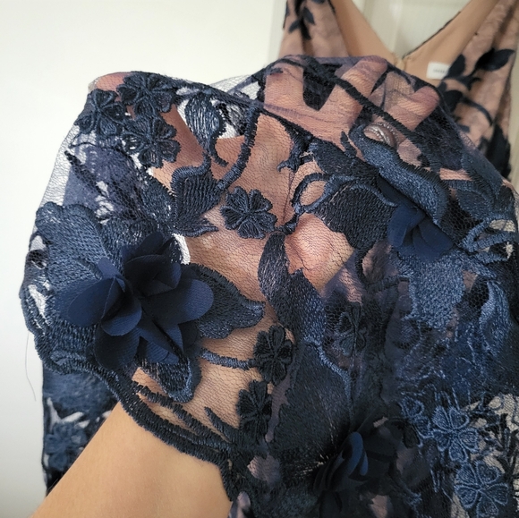 Dress the Population Navy and Nude Midi Dress - Picture 5 of 5